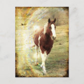 派手な ポストカード (正面)