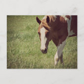 派手な ポストカード (正面)