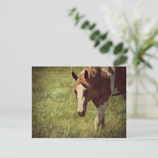 派手な ポストカード (スタンド正面)