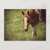 派手な ポストカード (正面)