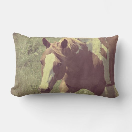 派手な ランバークッション (正面)