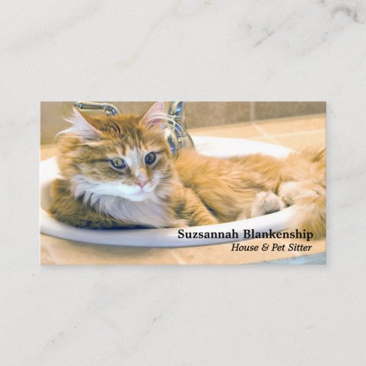 流しおもしろい写真入り交換猫とQRコード 名刺 (正面)