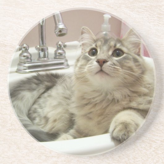 流しのコースターの猫 コースター (正面)