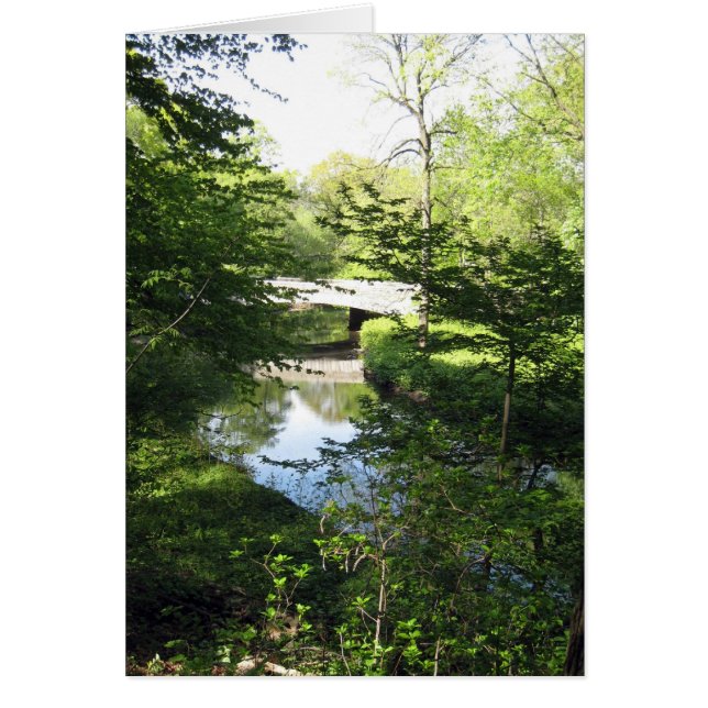 流れおよび緑 (正面)