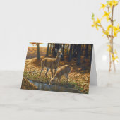 流れからの白尾の雌鹿と子鹿の飲酒 カード (黄色い花)