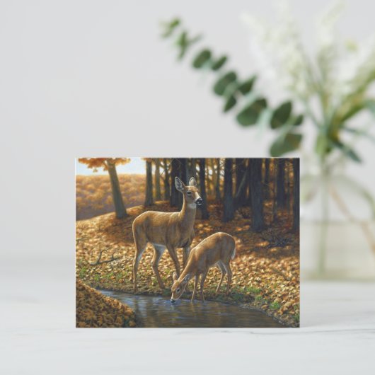 流れからの白尾の雌鹿と子鹿の飲酒 ポストカード (スタンド正面)