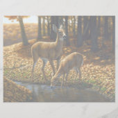 流れから出る白い尾のシカと子鹿の飲み物 レターヘッド (裏面)