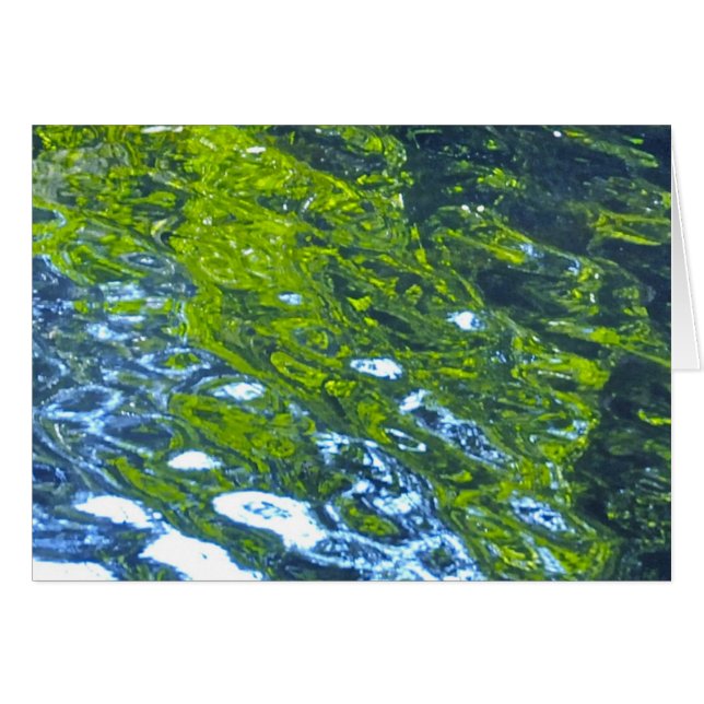 流れと行って下さい! (正面横)