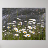 流れに沿って ポスター (正面)