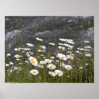 流れに沿って ポスター