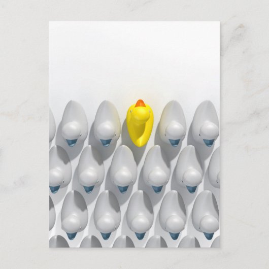 流れに逆らうゴムのカモ ポストカード (正面)