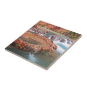 流れの滝 タイル (側面)