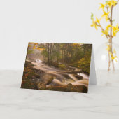 流れるストリームアパラチア山脈 |バーモント カード (黄色い花)
