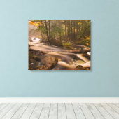 流れるストリームアパラチア山脈 |バーモント キャンバスプリント (インサイチュ (ウッドフロア))