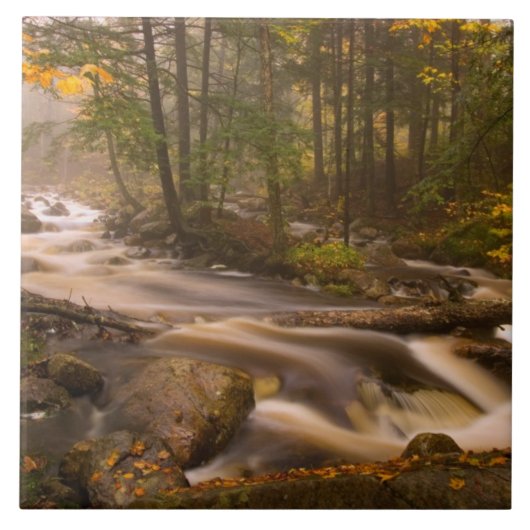 流れるストリームアパラチア山脈 |バーモント タイル (正面)