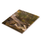 流れるストリームアパラチア山脈 |バーモント タイル (側面)