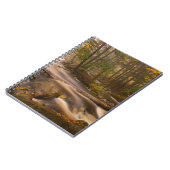 流れるストリームアパラチア山脈 |バーモント ノートブック (左側)