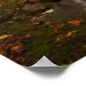 流れるストリームアパラチア山脈 |バーモント ポスター (角)