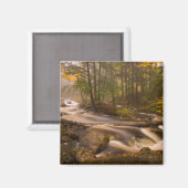 流れるストリームアパラチア山脈 |バーモント マグネット (正面/裏面)