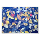 流れ葉た フォトプリント            (正面)