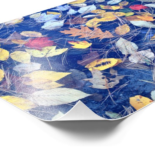 流れ葉た フォトプリント            (角)