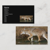 流動動き 名刺 (正面/裏面)