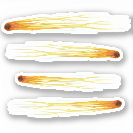 流星日 シール (正面)