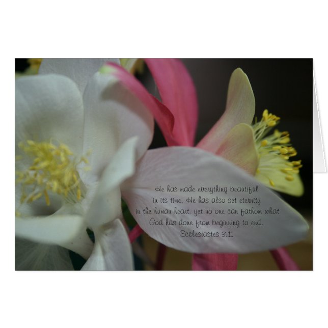 流星- Coumbineの開花のEcclesiastesの3:11 (正面横)