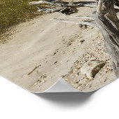 流木がビーチ ポスター (角)