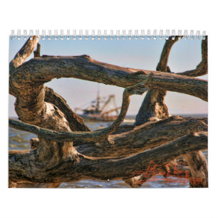 流木のビーチのcalander カレンダー