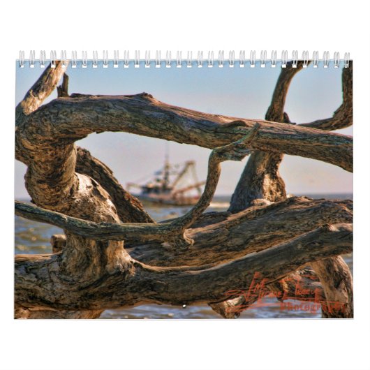 流木のビーチのcalander カレンダー (カバー)