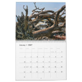 流木のビーチのcalander カレンダー (1月 2027)