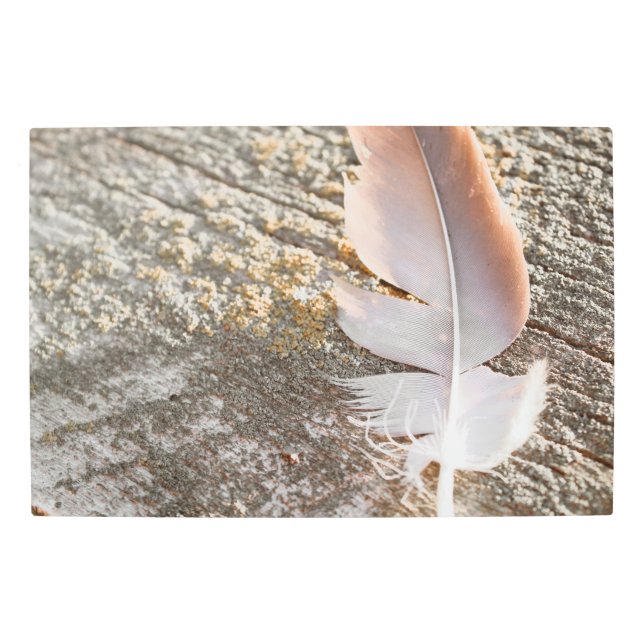 流木の美しい赤面色の羽毛 メタルプリント (正面)