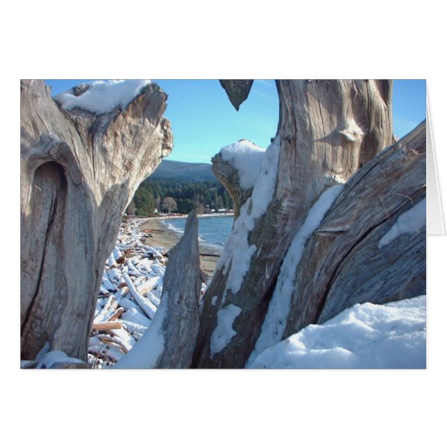 流木の雪のきらめき (正面横)