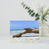 流木はがき ポストカード (スタンド正面)