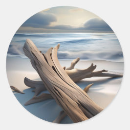 流木をビーチ。 ラウンドシール