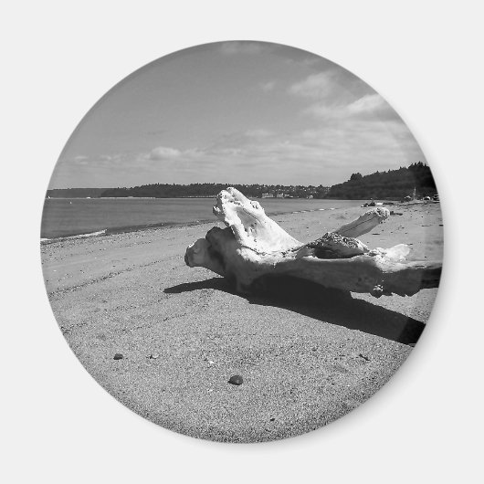 流木ディスカバリーパーク マグネット (正面)