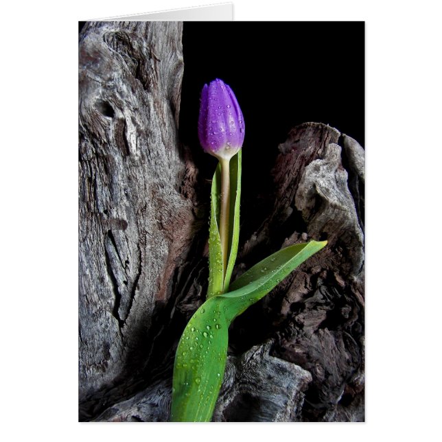 流木デザイン (正面)