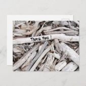 流木パーソナライズされた ポストカード (正面/裏面)