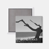 流木ビーチ磁石 マグネット (正面/裏面)