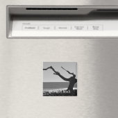 流木ビーチ磁石 マグネット (インサイチュ (食洗機))