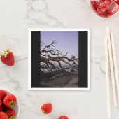 流木ビーチ紙ナプキン スタンダードカクテルナプキン (インサイチュ)