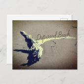 流木ビーチ ポストカード (正面/裏面)