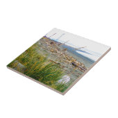 流木フィルビーチ タイル (側面)