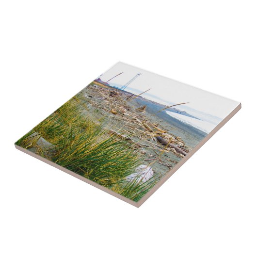 流木フィルビーチ タイル (側面)