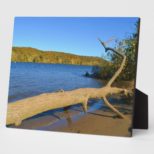 流木プラーク フォトプラーク (側面)