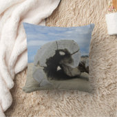 流木ユニークが太平洋岸の砂ビーチに眠る クッション (ブランケット)