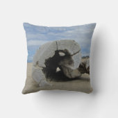 流木ユニークが太平洋岸の砂ビーチに眠る クッション (裏面)