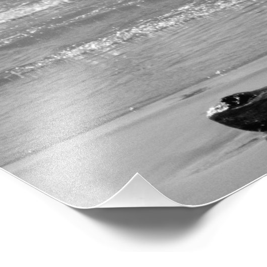 流木2 フォトプリント            (角)