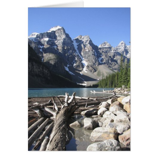 流木、あいさつ空白のきカード (正面)